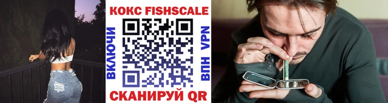 Купить  Ряжск  COCAIN FishScale 
