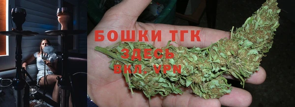 ALPHA PVP Козельск